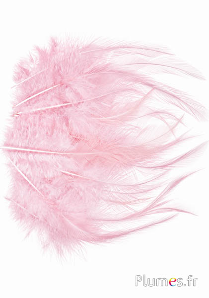 Haan - 8-12 cm -   roze beige